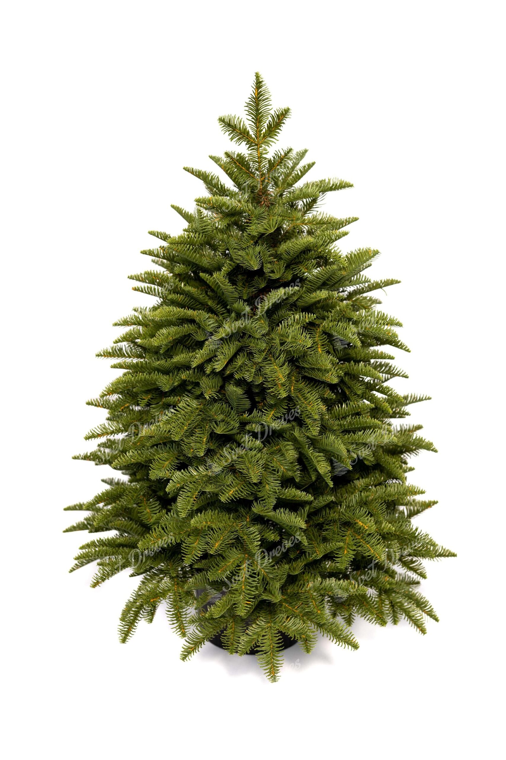 Novoletna jelka v cvetličnem lončku FULL 3D Mini Jelka 100cm