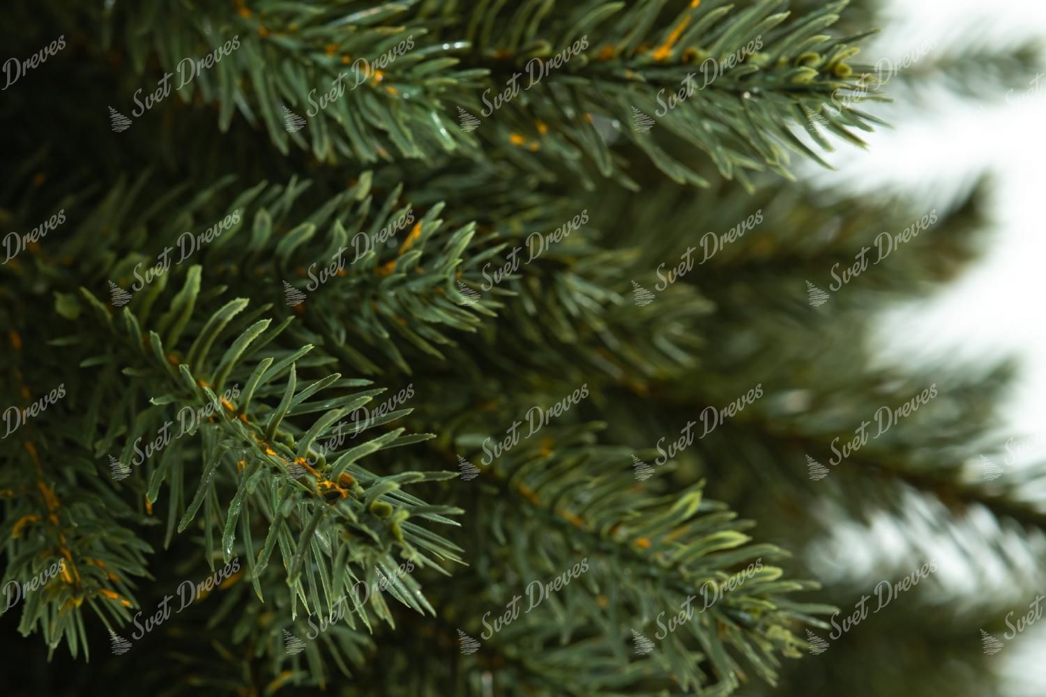 Božično drevo FULL 3D Smreka Alpska 100 cm v cvetličnem lončku