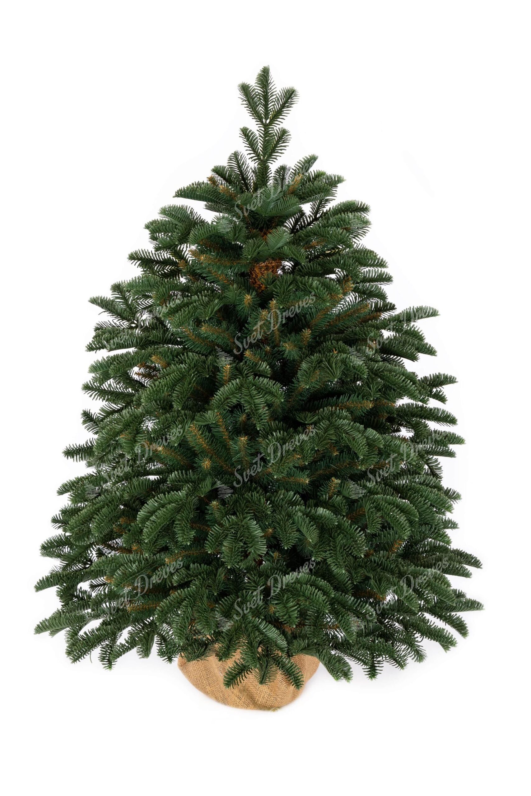 Božično drevo v loncu 3D Očarljiva Jelka