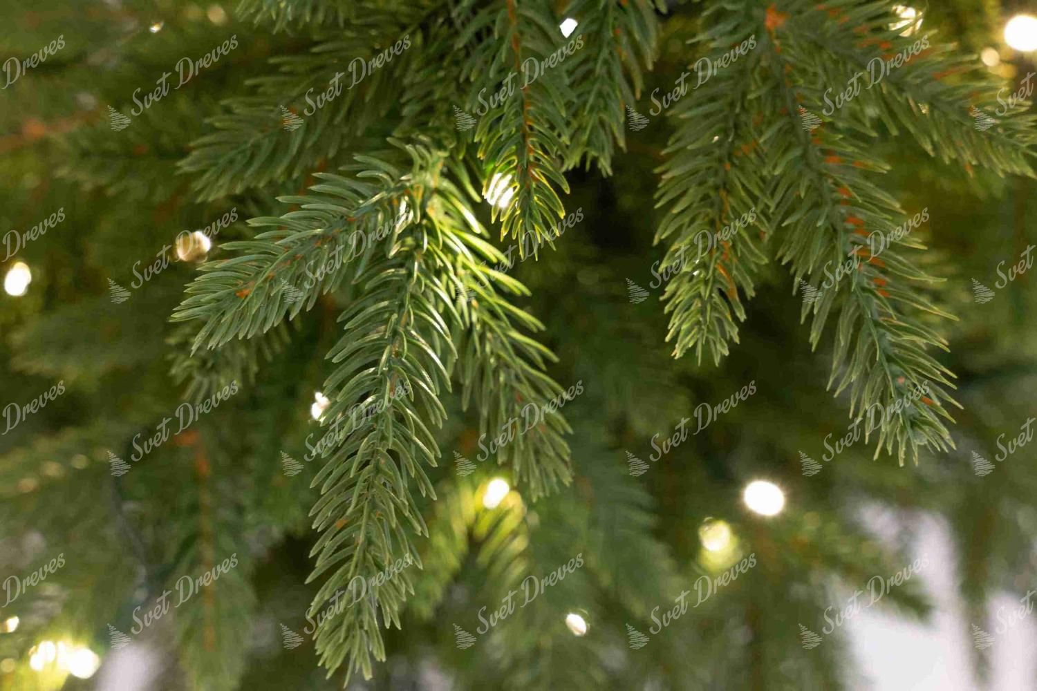 Božično drevesce v lončku 3D Smreka Karpatska 120cm 150LED