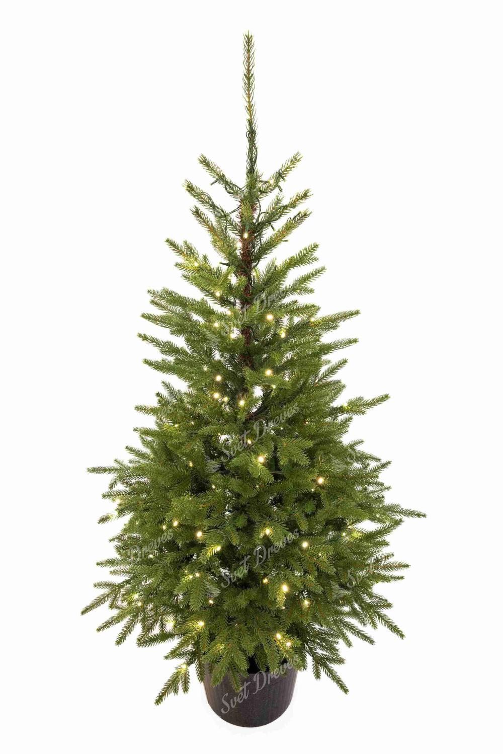 Božično drevesce v lončku 3D Smreka Karpatska 120cm 150LED